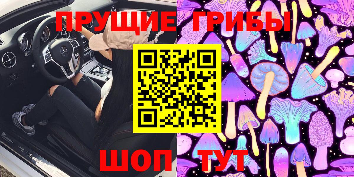 Южноуральск  Псилоцибиновые грибы Psilocybe  Вход с VPN 